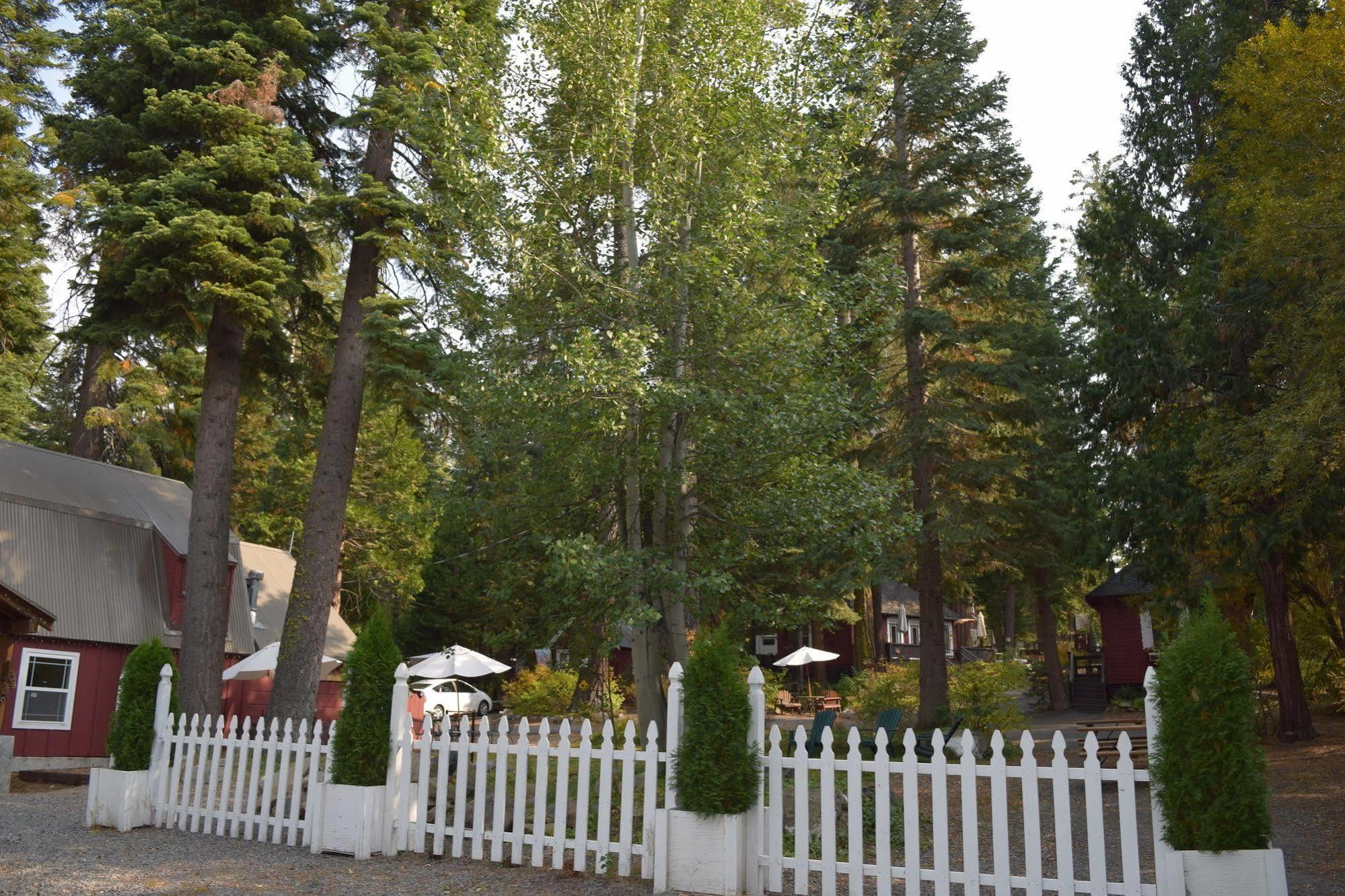 Tahoma Meadows - Sugar Pine Cabin Exterior photo