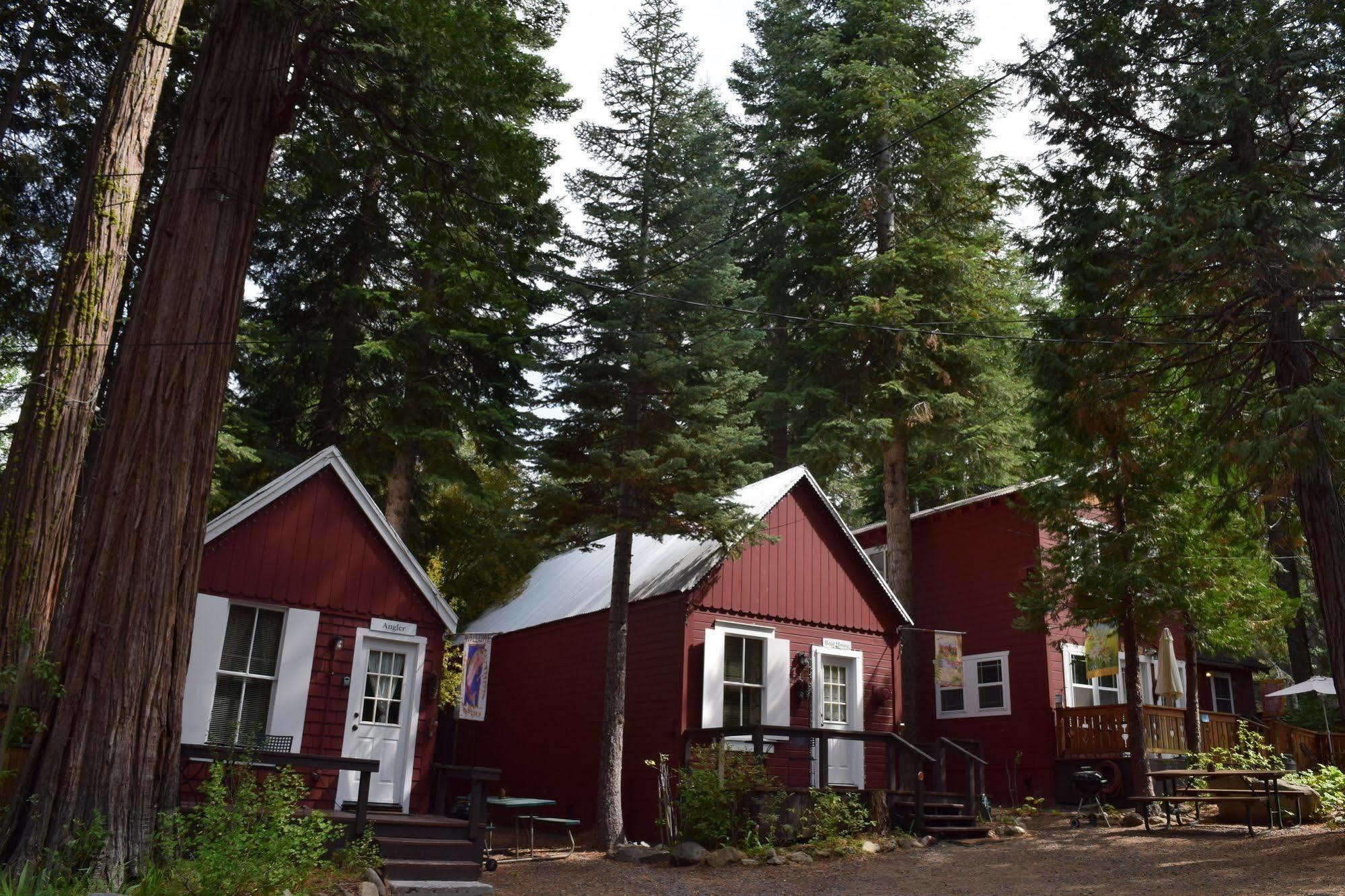 Tahoma Meadows - Sugar Pine Cabin Exterior photo